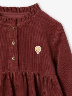 Robe Velours Col Volanté Fille -Cyrillus || PETIT BATEAU || MINNIE Soldes Boutique robe velours col volante fille 2